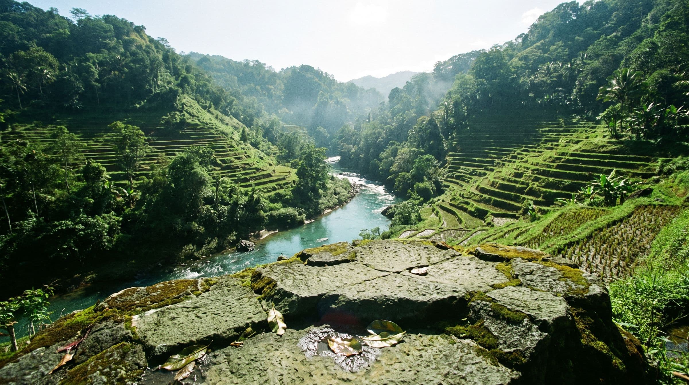 A tropical valley at midday, a stone outcrop in the foreground
